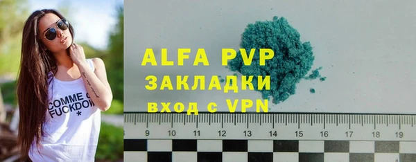индика Балахна