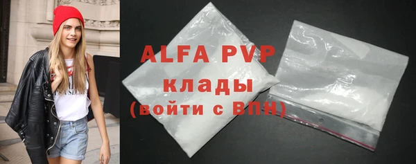 индика Балахна