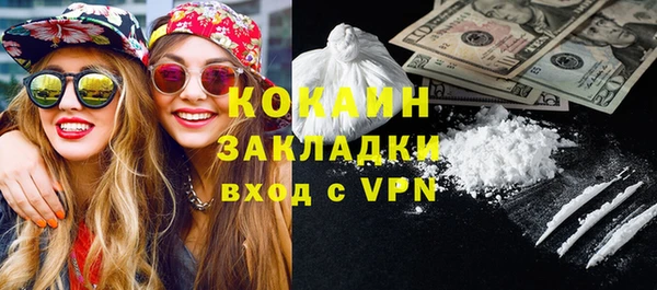 индика Балахна