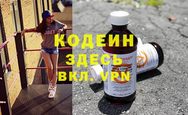 индика Балахна