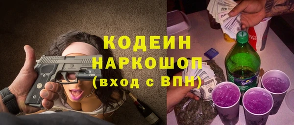 индика Балахна