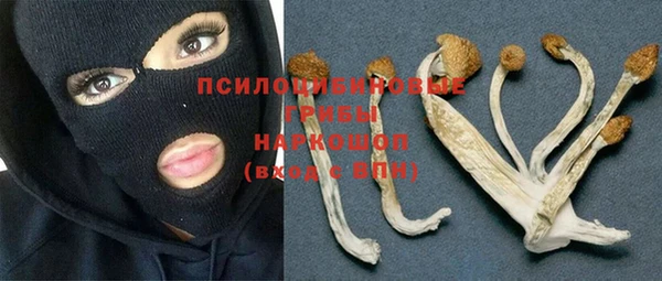 ALPHA-PVP Баксан