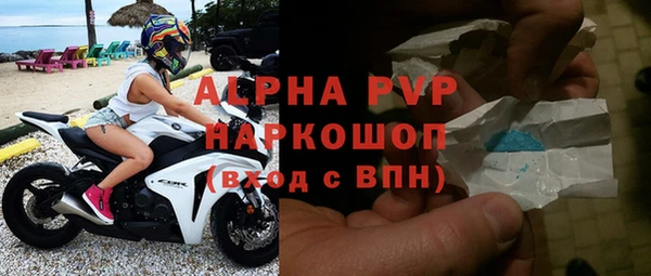 индика Балахна