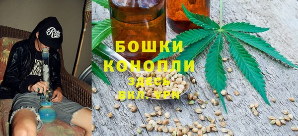 индика Балахна